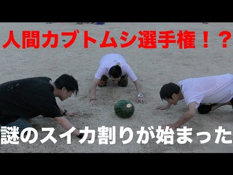 【危険】人間カブトムシ選手権＆スイカ割りしてみた