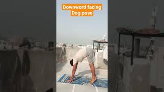 Downword facing dog pose practice। #motivation #yogaposes #monkey #yogainsipiration #yogaworkout