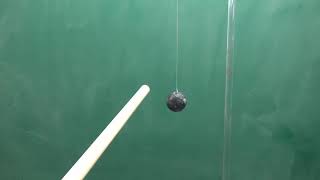 5A20.20 Pith Balls
