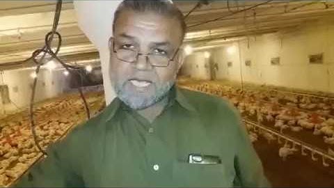 How Poultry Heater/Brooder Works for Heating In Winter A Information Video.