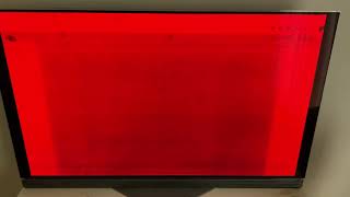 LG OLED burn-in multi color test