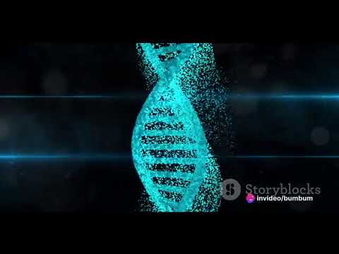 The Cosmic Dance: The Rhythms of Life and Death