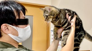 初対面の幼なじみに好き放題され本気でブチギレてしまった猫w