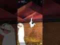 يوله راشد حارب الخاصوني 