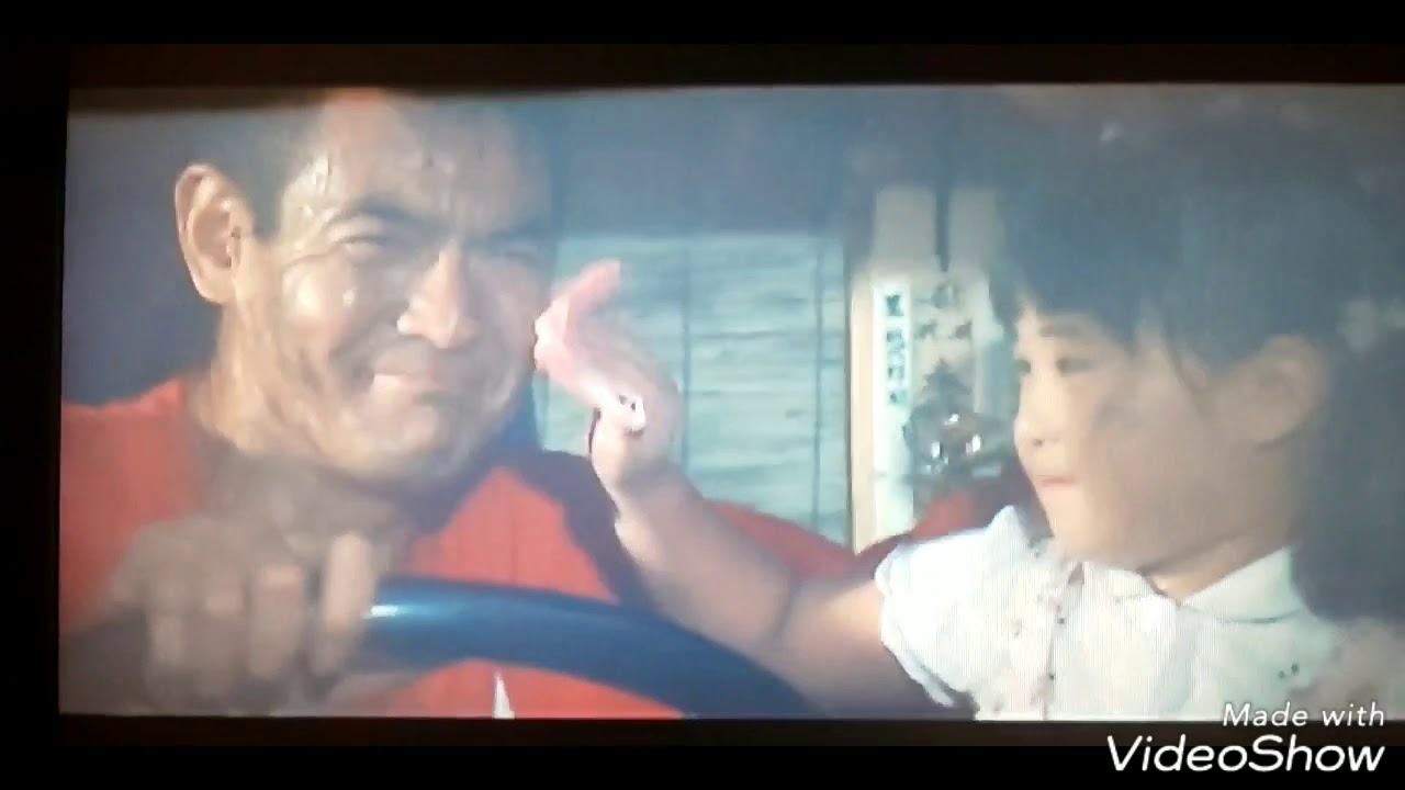 山本譲二    願い