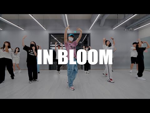ZEROBASEONE (제로베이스원) 'In Bloom' 안무연습 Dance Cover
