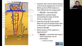 USMLE Step 1 - Renal Physiology [High Yield BRS Concepts]