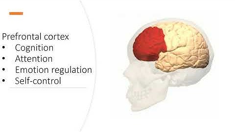 Present bias - Leader decisions from psychology perspectives
