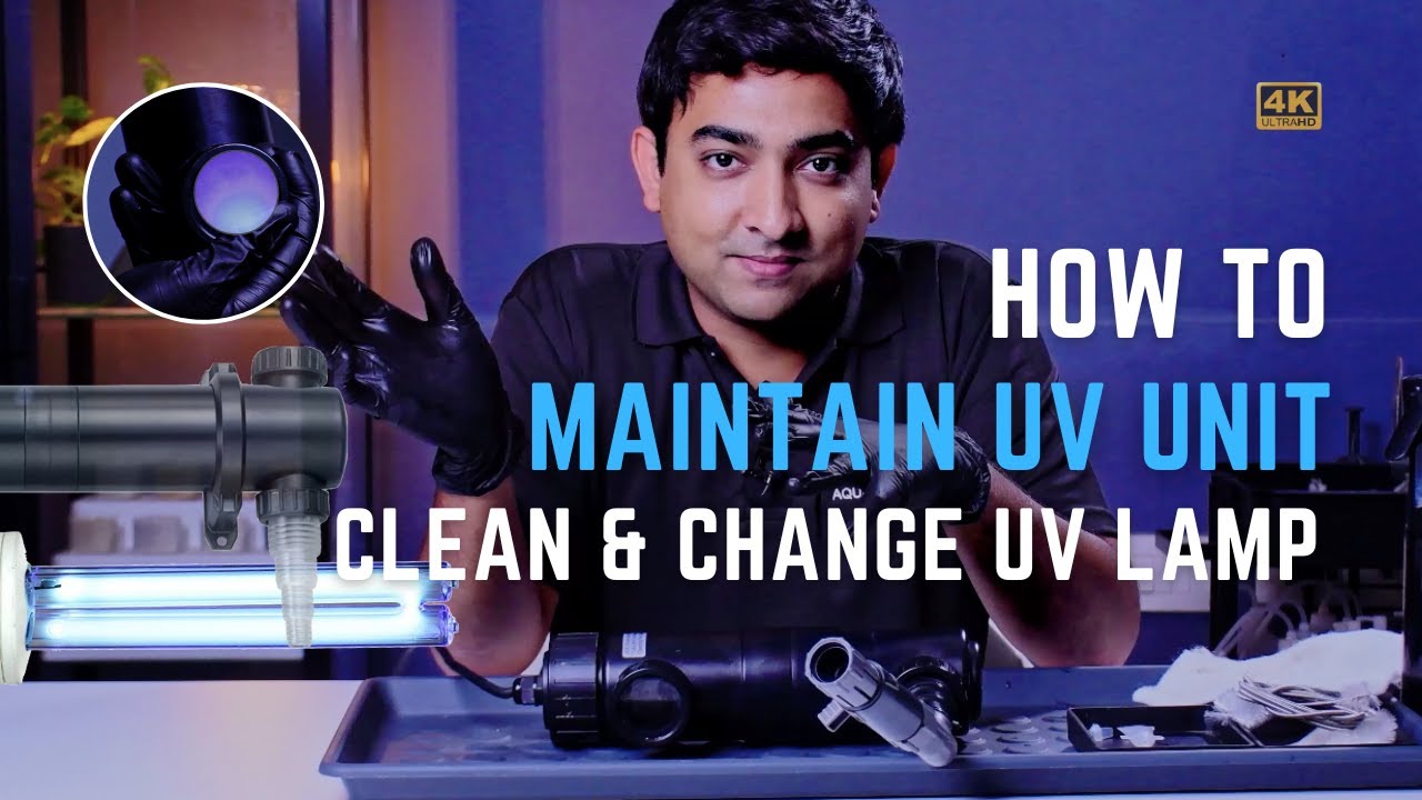 How to Maintain & Clean UV Lamp I Changing UV Bulb I Aquascaping - YouTube