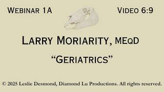 Dental for Geriatric Equines