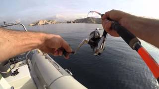 pêche daurade Marseille