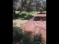 اجواء العيد من تمازيرت 