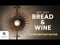 Presence: The Eucharist and Transubstantiation | Catholic Sacraments | Catholic Communion