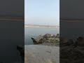 महाकुंभ 2025 #ganga #kumbh #mahakumbh2025 #mahakumbh