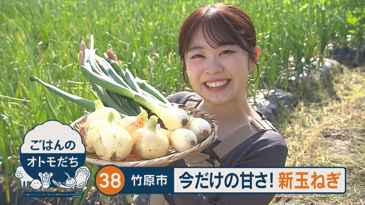 【ごはんのオトモだち】㊳新玉ねぎのすき焼き風(竹原市)|ピタニュー