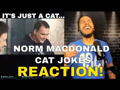 Norm Macdonald Cat Jokes Compilation (Reaction!) - Norm Macdonald Cat Jokes Compilation (Reaction!)