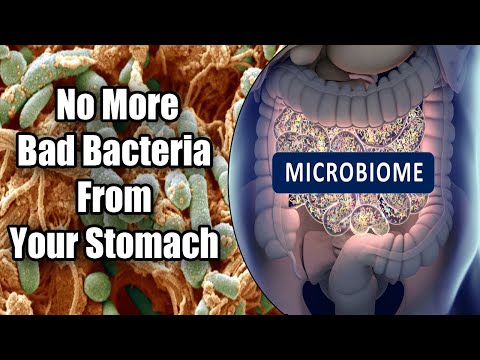 Stop Using Antibiotics This Powerful Mixture Will Eliminate All Bad Bacteria From Your Stomach!