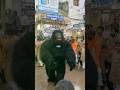 Gorilla Dance #shorts #dance #gorilla #costume #youtubeshorts