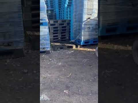 Video Pallet nhựa Khu công nghiệp Sóng Thần 2 - youtube