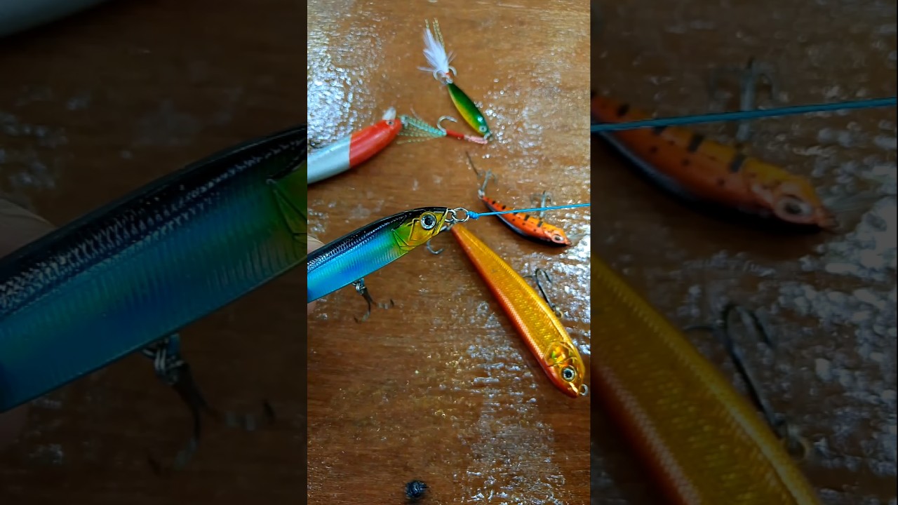 How to tie a lure on a fishing line 