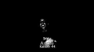 Asche Kaliber 44