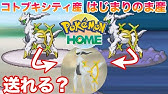 ポケモンdp ポケッチカンパニーからなぞのばしょに入る方法 Youtube