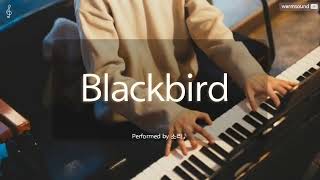 Watch Sara Gazarek Blackbird  Bye Bye Blackbird video