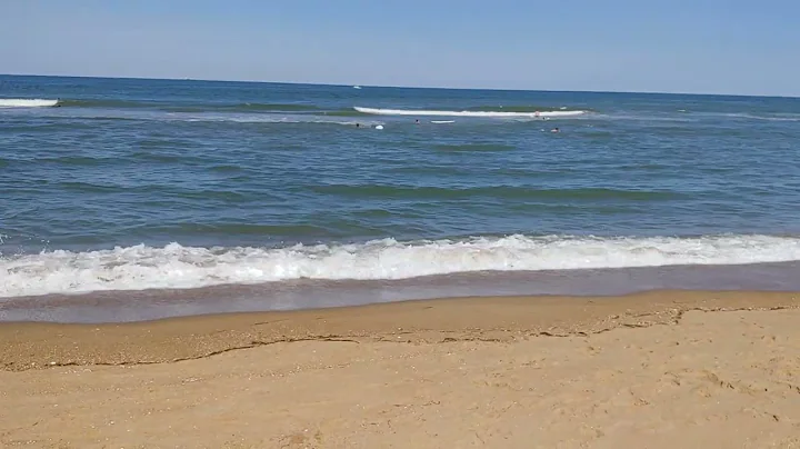 Surfer Nate