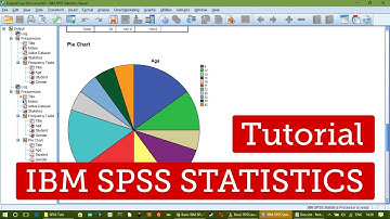 Basic IBM SPSS Statistics Tutorial - in Bangla