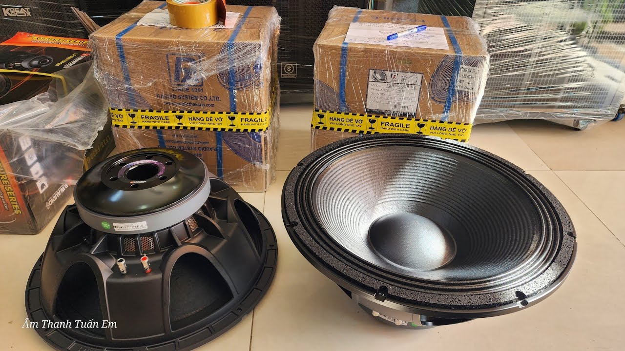 Khui Thùng Test Loa Sub 50 BW AUDIO Từ 220 Coil 100 Gửi A Khách Ở Bà Rịa Vũng Tàu