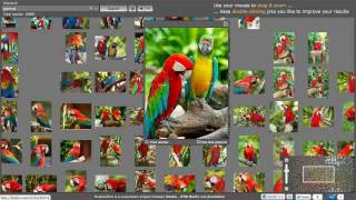 PicsLikeThat - Visual Image Search