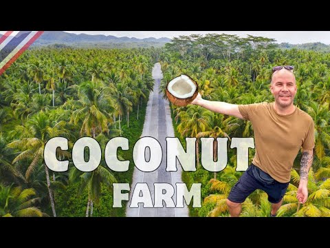 SAMUT SONGKHRAM Thailand coconut farm (Where tourists don't go) - Bangkok DAY TRIP