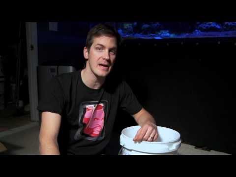 Mr. Saltwater Tank Friday AM Quick Tip: The Easiest Way to Save Copepods and Amphipods