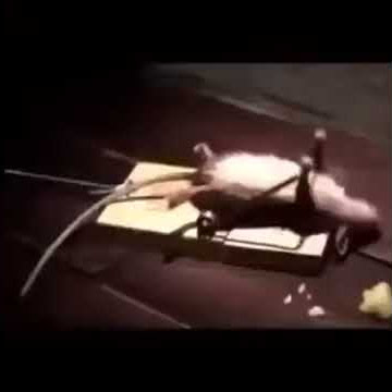 Dute la sala!😂💪