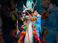 ALZHEIMER'S CURE is HIDING in Camels and Alpacas?