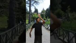 Tiktok Meme Cdmattsavagesss