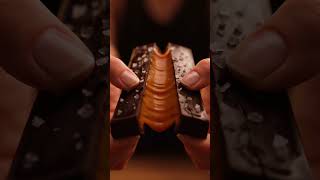 Chocolate Caramel Snap That. Satisfying. Snap. 🍫🍯 #asmr #satisfying