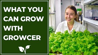 What you can grow with container farms - Your Guide to Growcer