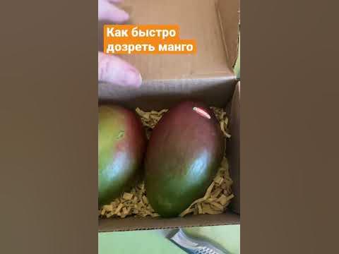Как быстро дозреть манго - YouTube