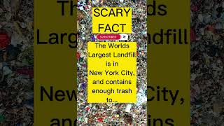 How Much Trash is in New York City's Landfill #scary #fact #garbage #shorts #foryou