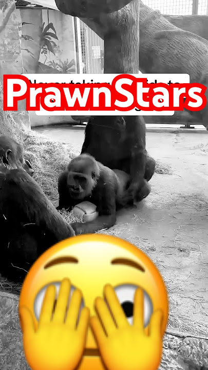 Gorilla Prawn Secrets They Don't Want You to Know