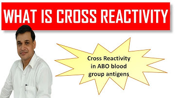 What is cross reactivity in immunology (Animation) and it