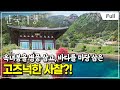 [Full] 한국기행 - 섬마을 민박 5부 스님, 자고 가도 돼요?