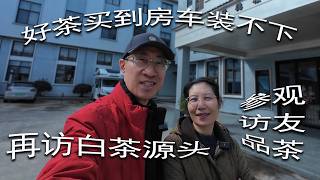 Download lagu 好茶买到房车装不下，再访白茶源头 - 参观访友品茶