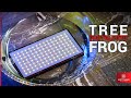 Digitalfoto Tree Frog Waterproof RGB Video Light