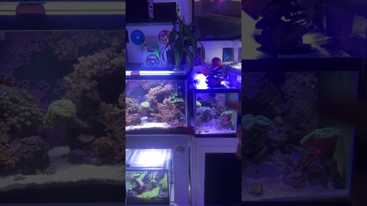 All the budget lights I use! 