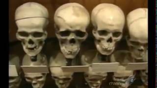 Megastructures HD 2017 -Strange Medical Museum The Mutter Museum