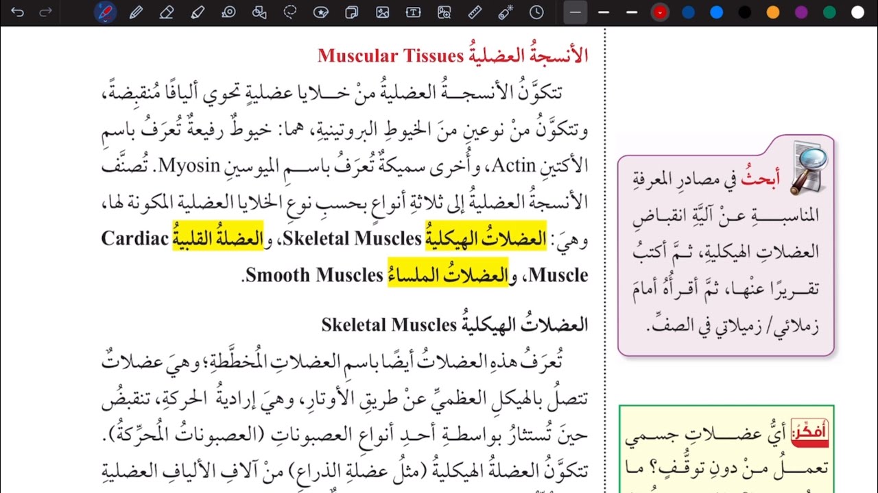 شرح درس الأنسجة الحيوانية ج 2 | أحياء تاسع المنهاج الأردني الجديد