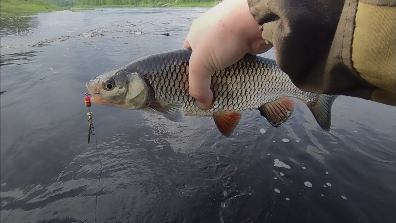 Открытие сезона,это бомба 2025 г.