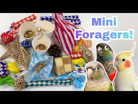 Mini Foragers for Parrots | Cheap & Easy DIY Bird Toys | BirdNerdSophie